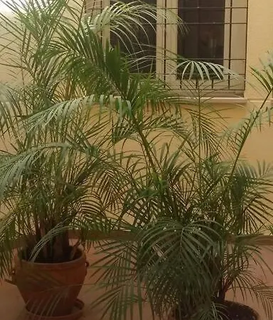 Espacio Апартаменты *